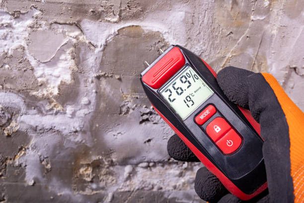 Best Certified Mold Removal  in Bradner, OH