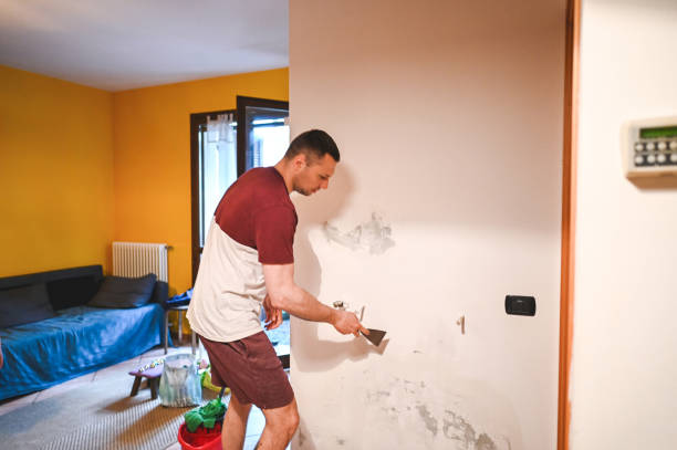 Professional Mold Removal in Bradner, OH